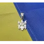Кулон трезуб Maxi Silver 5880