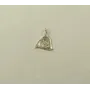 Кулон знак зодиака Рак Maxi Silver 4198