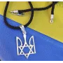 Кулон звезда Давида и герб Украины Maxi Silver 8638