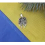 Лапа велеса оберег Maxi Silver 7905