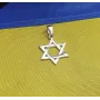 Подвес звезда Давида Maxi Silver 7393