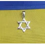 Подвес звезда Давида Maxi Silver 7393