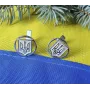 Запонки с гербом Maxi Silver 4252