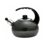 Чайник эмалированный со свистком Kamille KM-1039D 2.5 л Зеленый