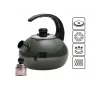 Чайник эмалированный со свистком Kamille KM-1039D 2.5 л Зеленый