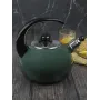 Чайник эмалированный со свистком Kamille KM-1039D 2.5 л Зеленый