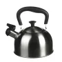 Чайник со свистком A-PLUS 1373 2 л Steel