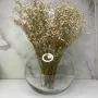 Ваза стеклянная 15,5 см Trendglass Sphere 35104