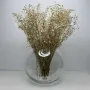 Ваза стеклянная 15,5 см Trendglass Sphere 35104
