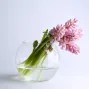 Ваза стеклянная 15,5 см Trendglass Sphere 35104