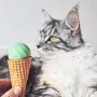 М'ячик для котів Cheerble Ice Cream Ball C0419-C Зелений
