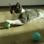 М'ячик для котів Cheerble Ice Cream Ball C0419-C Зелений