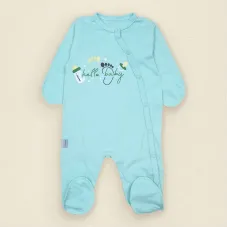 Человечек для новорожденного Dexter’s hello baby 56 см Ментол (131688768954)
