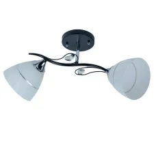 Люстра стельова Sunlight 2555/2 N Люстра стельова Sunlight 2555/2 N