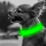 Світлодіодний LED нашийник No Brand Green L USB