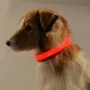 Світлодіодний LED нашийник No Brand Red L USB