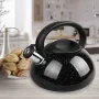 Чайник Maestro MR-1316 3 л Black (76672661)