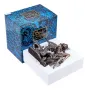Cтатуетка колекційна Фея з Драконом Veronese 18х16х12 см Різнокольоровий AL229091