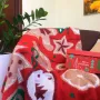 Плед новогодний Печенье Прованс 130х170 см Разноцветный (1259)