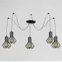 Люстра паук MSK Electric Diadem на пять плафонов NL 2215-5