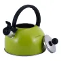 Кухонний green чайник со свистком из нержавеющей стали 2.5л Kamille KL225379
