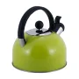 Кухонний green чайник со свистком из нержавеющей стали 2.5л Kamille KL225379