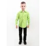 Рубашка для мальчика MTP 146 см Салатовый (PVM-1014-Light-green)