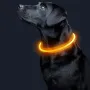 Світлодіодний LED нашийник No Brand L-18 M Yellow