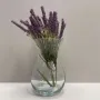 Ваза скляна 18 см Trendglass Asta 35445