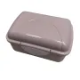 Контейнер XS 11,5х8,5х6 см Алеана Mini 168015 фрезия