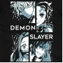 Футболка Bioworld Demon Slayer MRZ v301 L Чорний (25584)