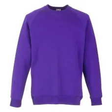 Реглан Fruit of the loom Classic raglan sweat Kids 116 см Фіолетовий (62-039-0)