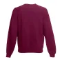 Світшот Fruit of the loom Premium raglan sweat Kids 116 см Бордовий (62-033-0)