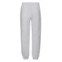 Спортивні штани Fruit of the loom Premium elasticated cuff jog pants Kids 152 см Сіро-ліловий (64-025-0)