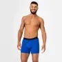 Боксеры мужские анатомические MAN's SET Anatomic Long 2.1 Black Series Micromodal L Электрик