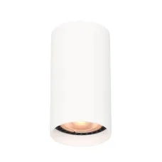 Точковий світильник Italux Lopus Білий (CLN-48930-S-WH)