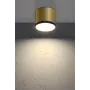Точковий світильник Candellux Tuba Золотий (2275956)