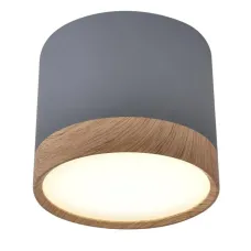 Точковий світильник Candellux Tuba Сірий (2275925)