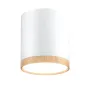 Точечный светильник Candellux Tuba Белый (2273624)