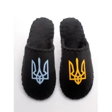 Чоловічі домашні капці Family Story Тризуб Чорний 40-41 (n0101-41f-001uk) Чоловічі домашні капці Family Story Тризуб Чорний 40-41 (n0101-41f-001uk)