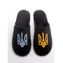Чоловічі домашні капці Family Story Тризуб Чорний 42-43 (n0101-43e-001uk)