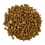 Корм для стерелізованих кішок Savory Steril Fresh Lamb & Chicken з ягнятком та куркою 400 г (30105)