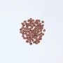 Сухой корм Carnilove True Fresh Cat для взрослых кошек с курицей 340 г (172162)