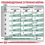 Вологий корм для кішок Royal Canin Diabetic при цукровому діабеті 85 г