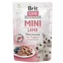 Вологий корм для цуценят Brit Care Mini pouch з ягнятком 85 г (100216/4418/100911)