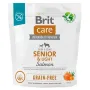 Сухой корм для собак Brit Care Dog Grain-free Senior & Light с лососем 1 кг (172205)