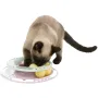 Іграшка для кошенят Trixie Junior Kitten Circle 24 см Сірий (41340)