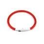Світлодіодний LED нашийник Lesko L-18 S Red (11903-69354)