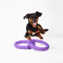 Іграшка для собак Collar PULLER Standard тренувальний снаряд 18 см 2 шт Фіолетовий (15292)
