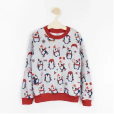 Світшот дитячий новорічний з начосом Dexter`s christmas penguin 122 см Різнокольоровий